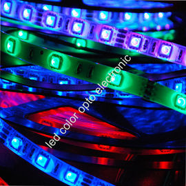 China high brightness 5050 60led/m flexible led strip supplier