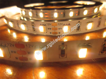 China warm white and white in one 5050 smd cct dimmable led strip supplier