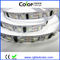 5050 4 in 1 digital RGBW LED strip supplier