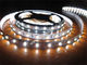 5050 two white color chips dimmable cct strip supplier