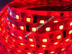 disco lighting decoration RGBW LED DMX light supplier