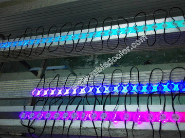 China ws2811 led module holiday light dc24v supplier