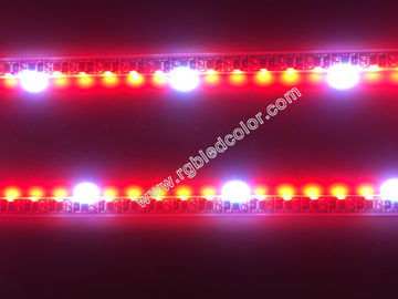 China dream color rgb side emitting strip light supplier