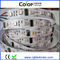 DC5V 60led/m individual controlled UCS2912 addressable RGBW LED strip supplier