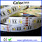 High brightness 60led/m DC12V 24V 5050 smd rgbw led strip supplier