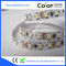 3528 ww/w white color led strip supplier