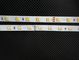 5050 2835 3528 5630 WW/W CCT dimmable led strip supplier