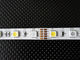 5050 2835 3528 5630 WW/W CCT dimmable led strip supplier