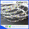 dc12v 60led ws2811 white color strip supplier
