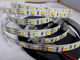 warm white and white in one 5050 smd cct dimmable led strip supplier