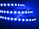 5050 digital pure blue led strip supplier