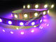WS2812B WS2813B digital led strip with the capacitance and resistance packaged inside 5050 led supplier